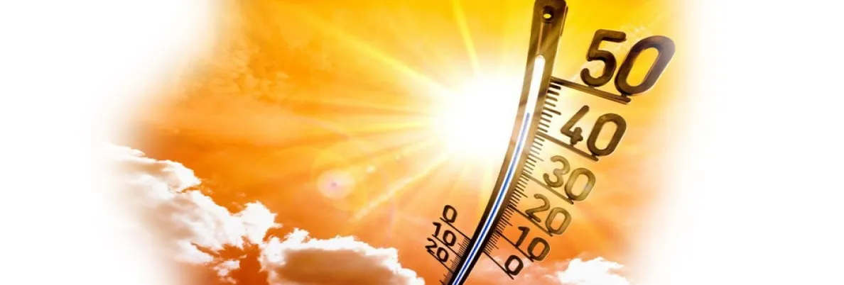 Як зберігати рідину та зберегти смак? Фото-1