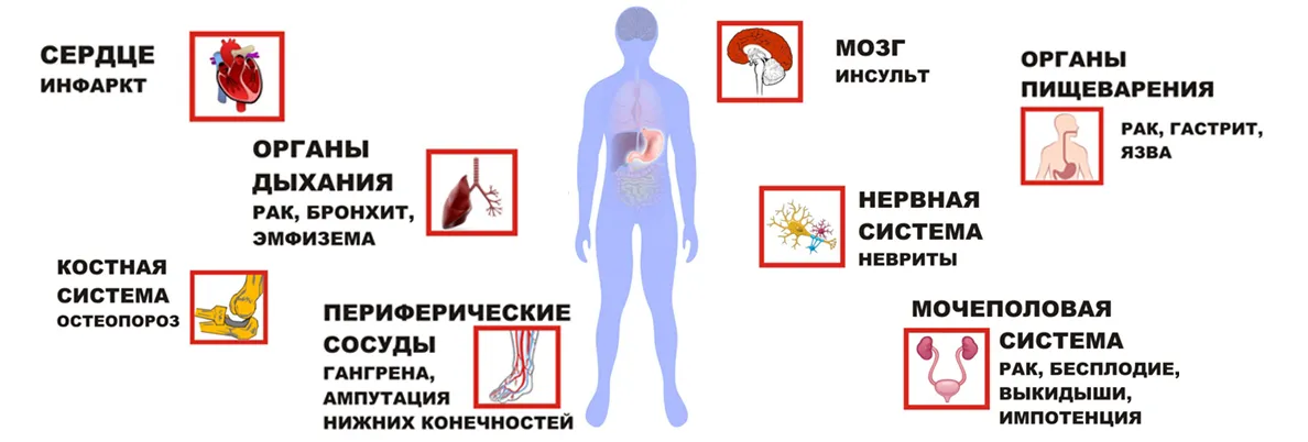 Более миллиона курильщиков отказываются от сигарет во время кризиса с коронавирусом Фото-1