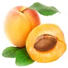 Абрикос