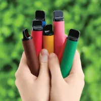 Горчит однразка: основные причины и что делать