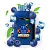 Blueberry Ice