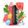 Watermelon Ice