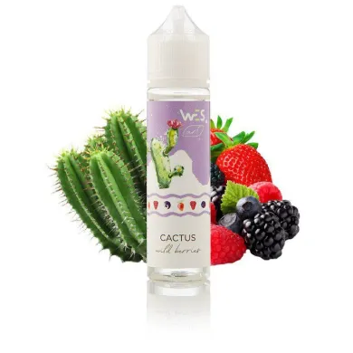 Рідина для електронних сигарет WES - ART Cactus 3 mg 60 ml - фото 1