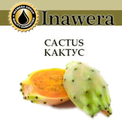 Ароматизатор Inawera - Cactus (Кактус) 5ml - фото 1