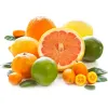 Цитрусовые