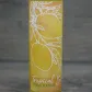 Жидкость для электронной сигареты Wick&Wire - Tropical Island Cold Mango 0mg 60ml - фото 6