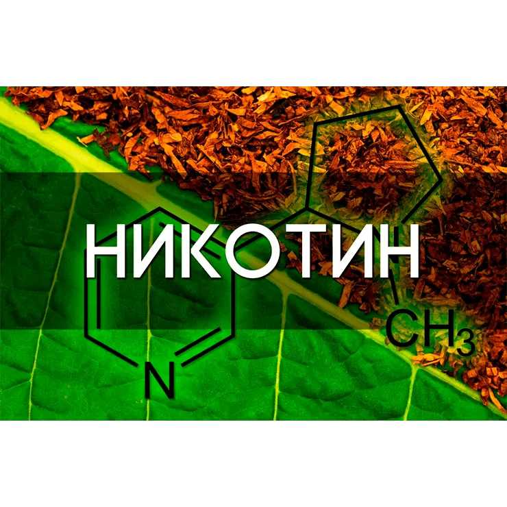 Факты о никотине